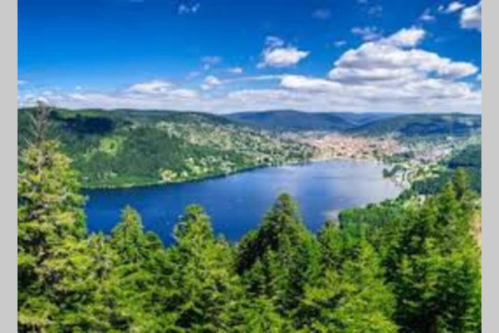 Superbe appartement, hypercentre au calme avec bain balnéo Gérardmer Extérieur photo