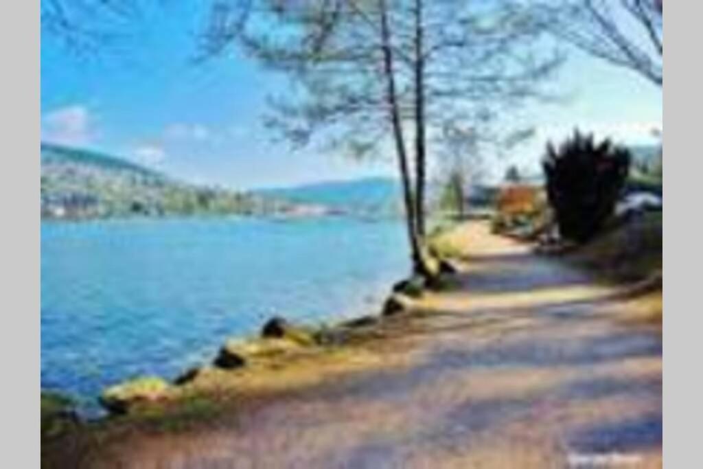 Superbe appartement, hypercentre au calme avec bain balnéo Gérardmer Extérieur photo